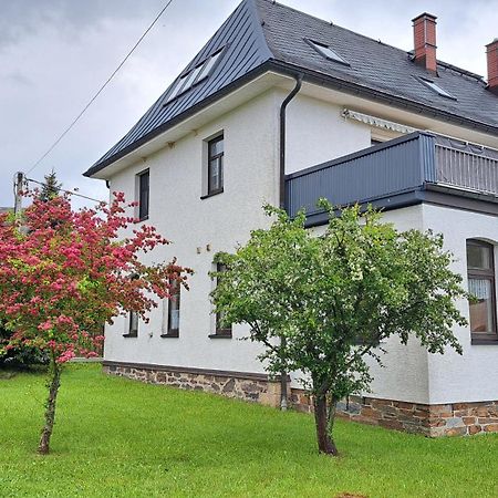 Ferienwohnungen Reiterhof Lienemann Grünbach Exterior foto